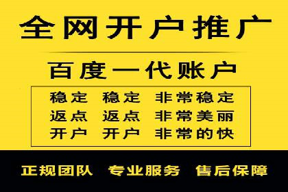 Sem优化公司实例：电商流量提升策略